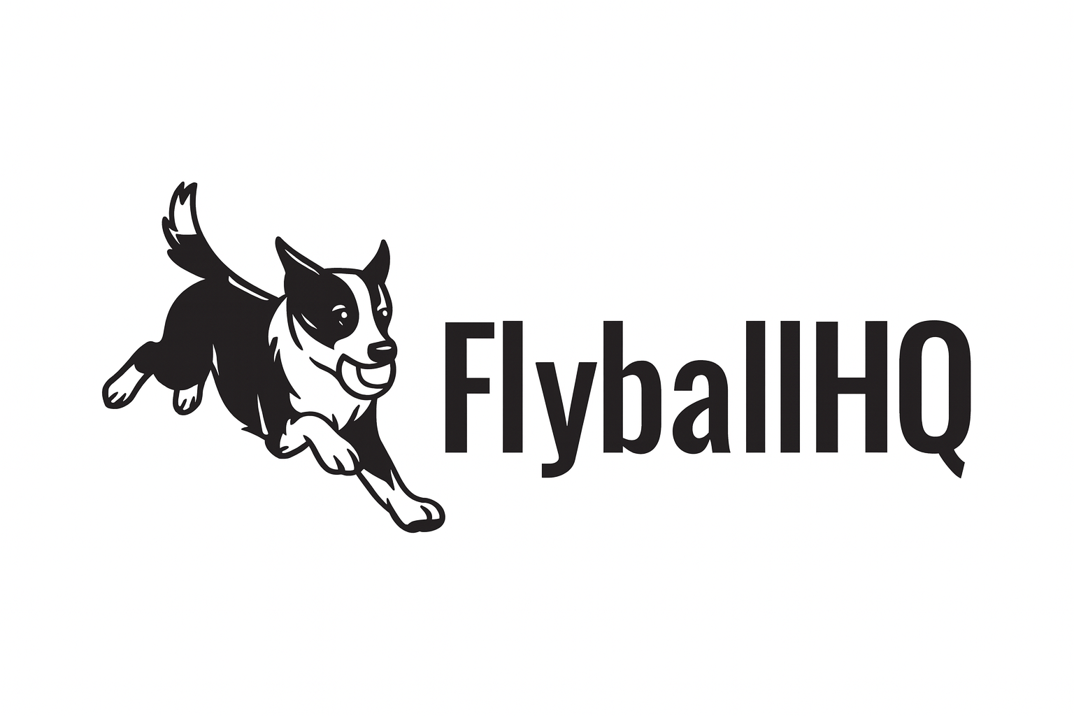 FlyballHQ Logo